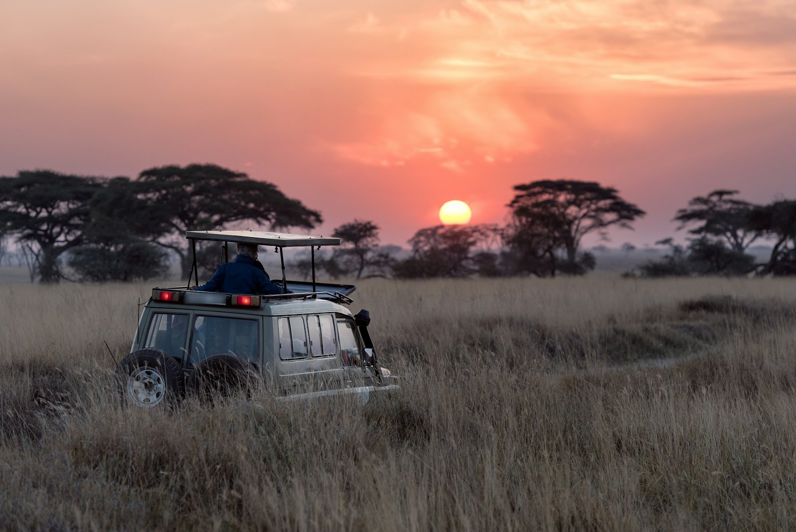 Tsavo golden hour safari Land Cruiser